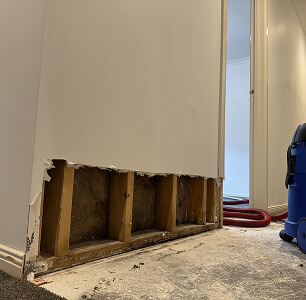 Ecohaz technician carrying out mould remediation