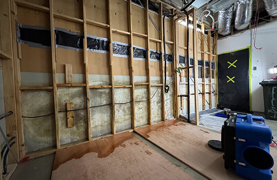 Mould remediation work on a Melbourne property